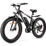 Speedrid Fat Tire Electric Bike