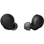 Sony Truly Wireless In-Ear Bluetooth Earbuds