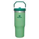 Stanley IceFlow 30 oz Flip Straw Tumbler