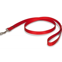 Nylon Dog Leash 1 in. x 6 ft.