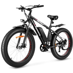 Speedrid Fat Tire Electric Bike