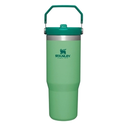 Stanley IceFlow 30 oz Flip Straw Tumbler